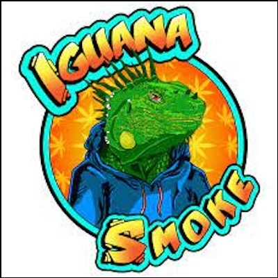 Ilustração de iguana verde com casaco azul e texto IGUANA SMOKE em fundo laranja