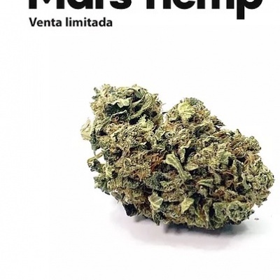 Imagem de flores verdes secas Mars hemp com texto descriptivo