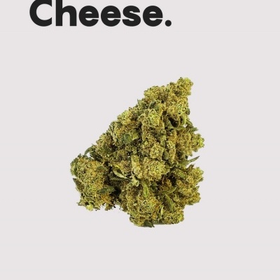 Ramo de cannabis verde com texto 'Mickey Cheese.' e marca Life
