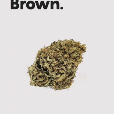 Flor de cannabis castanha esverdeada com texto Monster Brown e Life