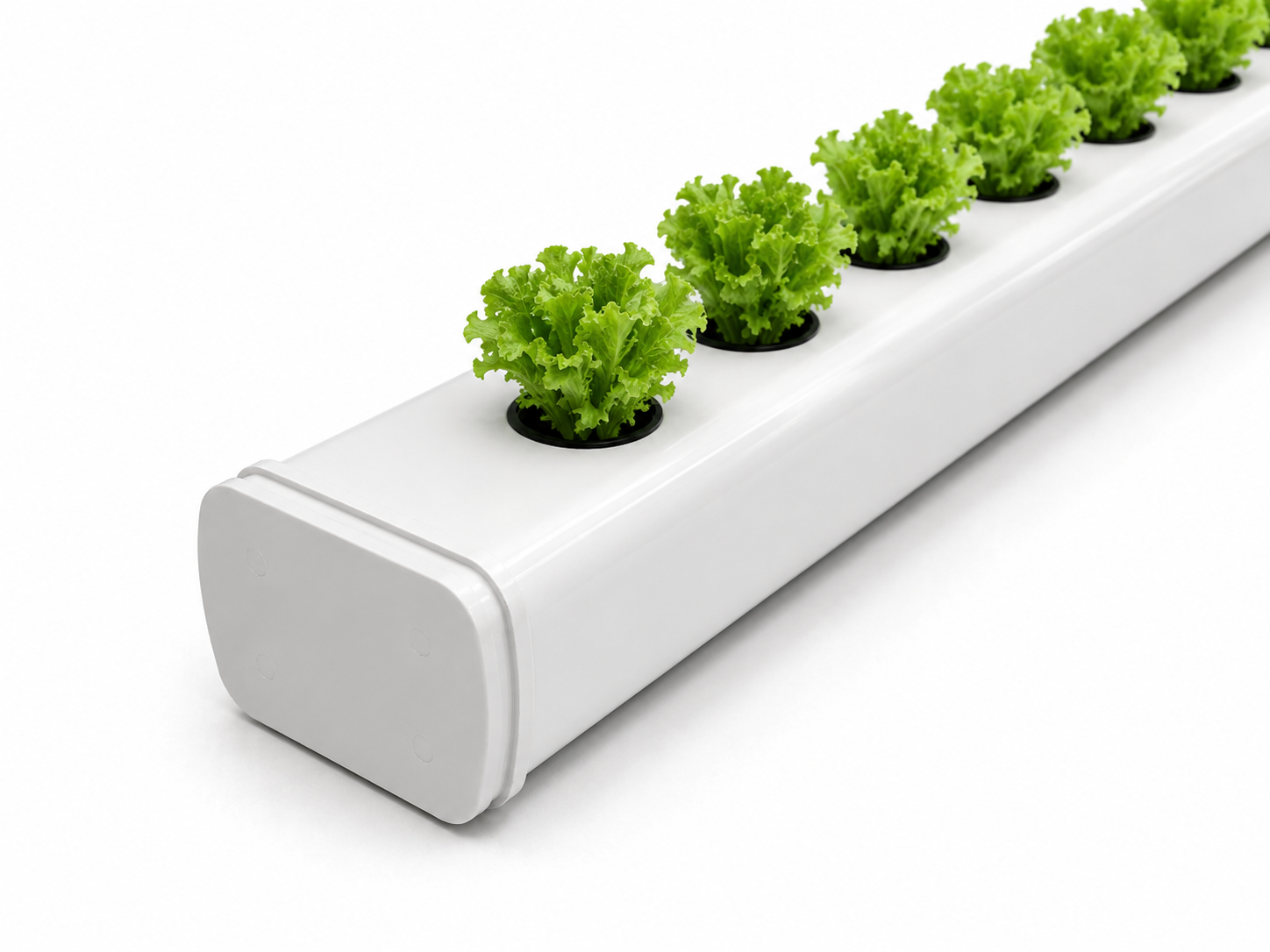 Tapón para Perfil de Semillero Hidropónico 49mm Plantas de lechuga verde en sistema hidropónico blanco.