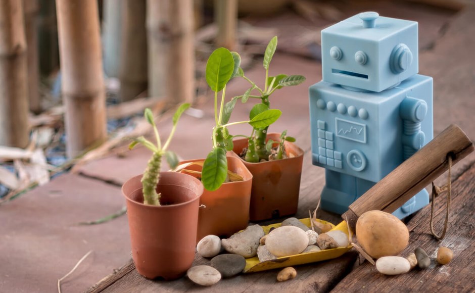 Robô azul de brinquedo ao lado de vasos com plantas e pedras sobre madeira