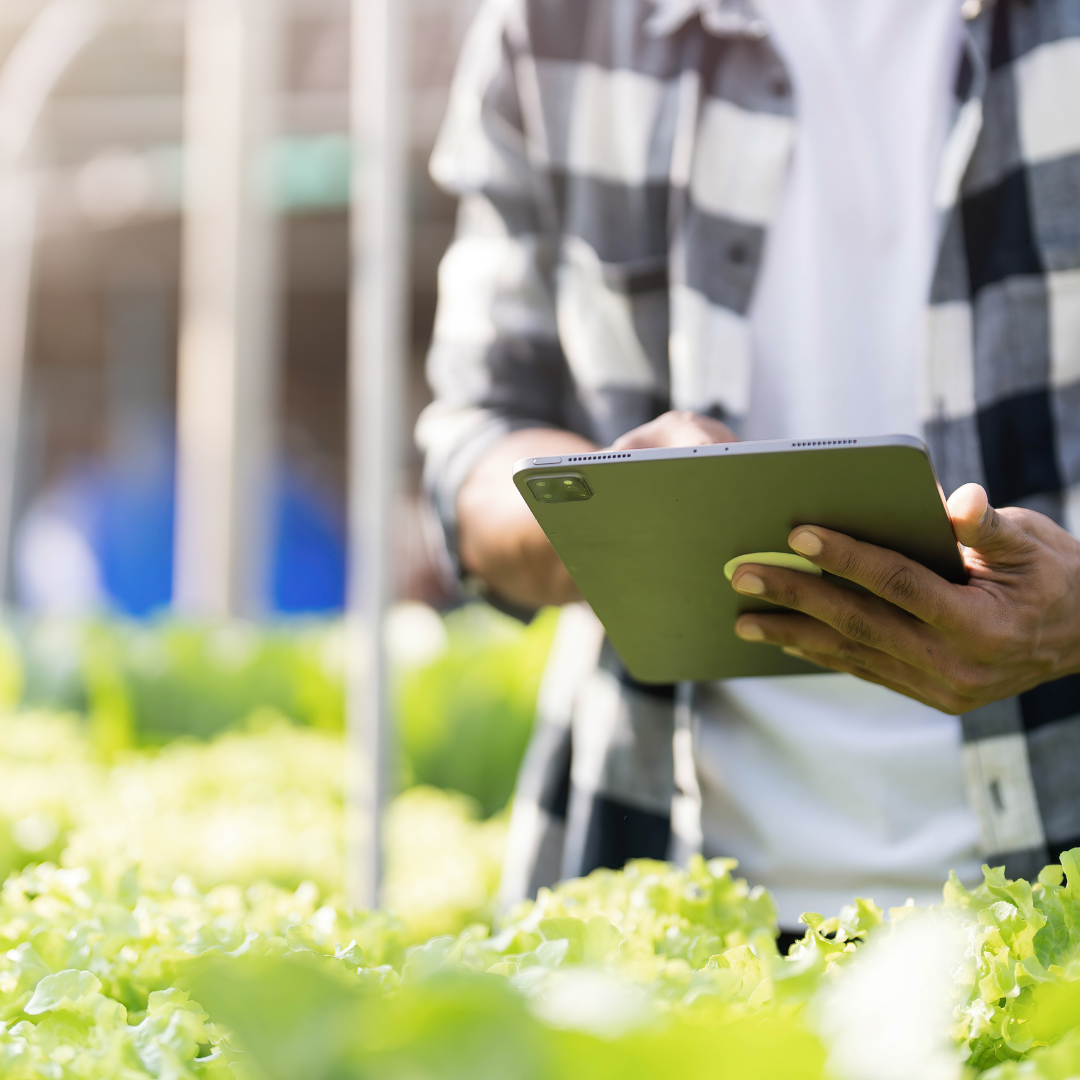 Ebook Hidroponía para Profesionales Pessoa segurando tablet cinzento numa estufa com plantas verdes
