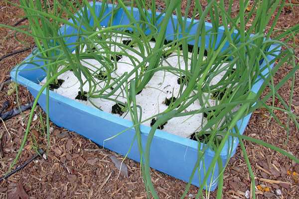 Sistema flotaci&oacute;n