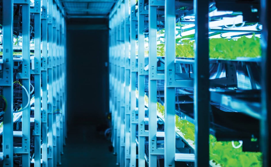 Planeando un buen sistema de iluminación en tu invernadero Estufa vertical com prateleiras metálicas iluminadas e plantas verdes crescendo