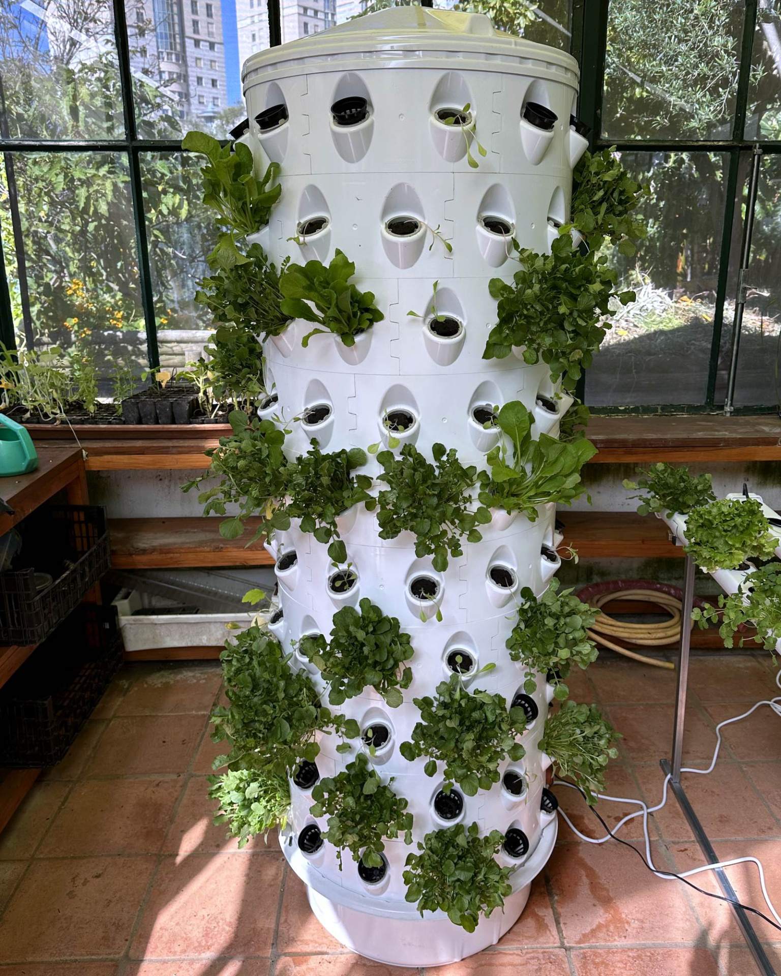 Torre Hidroponía Vertical - 120 plantas Coluna de cultivo vertical branca com plantas verdes num interior com janelas e pavimento de tijoleira