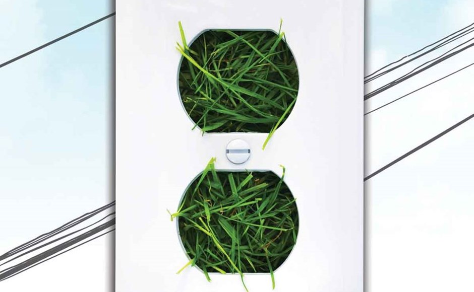 Tomada elétrica branca com relva verde nos orifícios, fundo céu azul e fios elétricos.