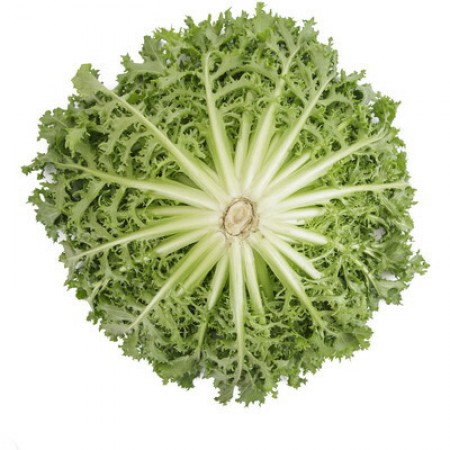 Achicoria Crispy (50 un) Agrião verde visto de cima com folhas onduladas e nervuras brancas