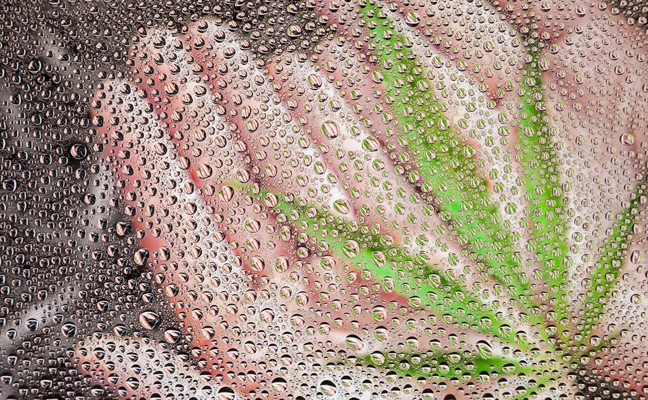 Mão humana e folha verde atrás de vidro com gotas de água