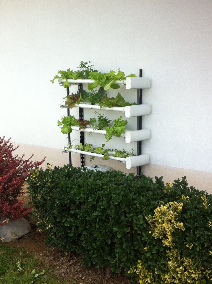 Hydro 70 Vertical Fijo Estante vertical com tubos de PVC e plantas verdes junto a parede branca e jardim