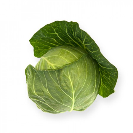 Repollo CILEMA Couve verde fresca com folhas grandes e textura suave
