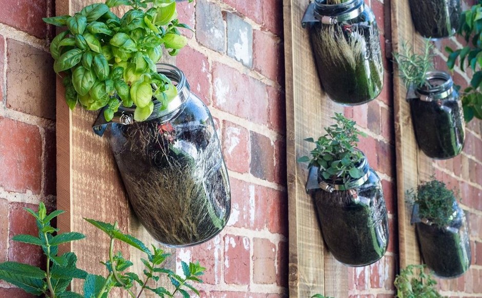 Jardines verticales: cómo crear muros vivos de plantas comestibles Vasos de vidro com plantas em tábuas de madeira na parede de tijolos