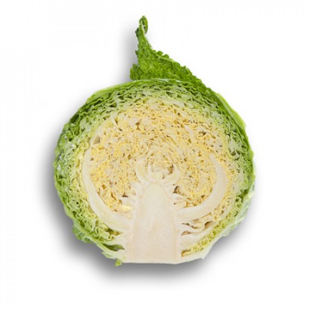 Col de Saboya MADLENE Meia cabeça de couve com folhas verdes e interior amarelo claro