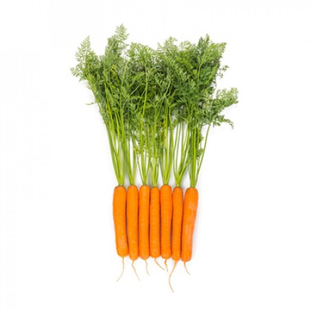 Zanahoria YMER Sete cenouras frescas com folhas verdes sobre fundo branco