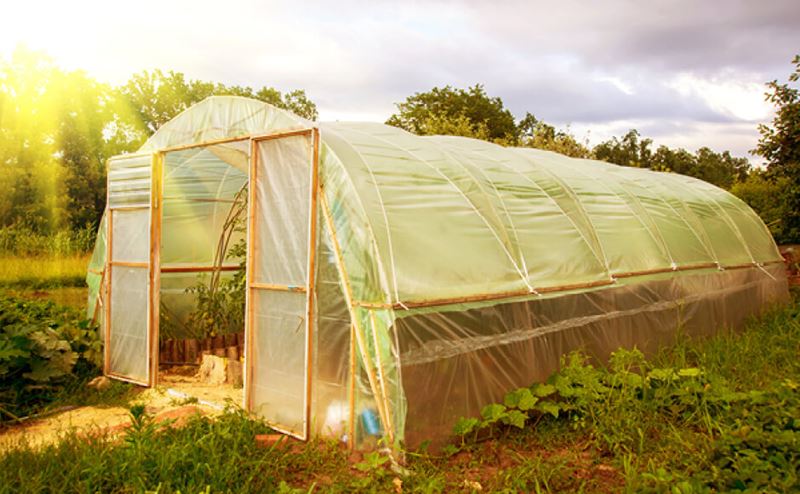¿Cómo diseñar un invernadero? Estufa agrícola de estrutura metálica com plástico transparente em campo aberto