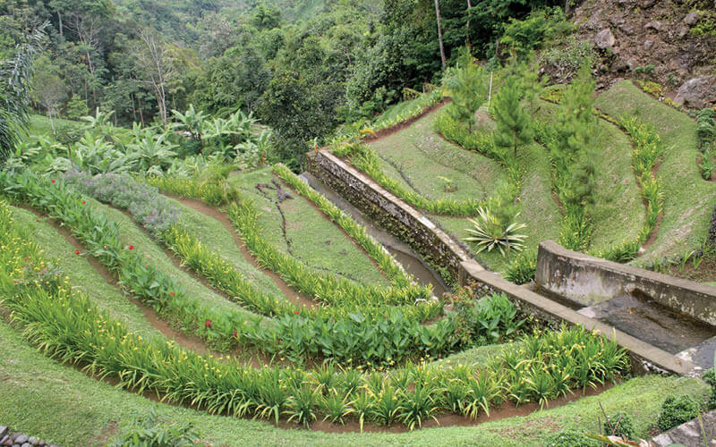 canales poco profundos