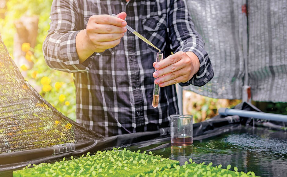 Pruebas de laboratorio en hidroponía Pessoa a usar pipeta para transferir líquido para tubo de ensaio em ambiente de cultivo ao ar livre
