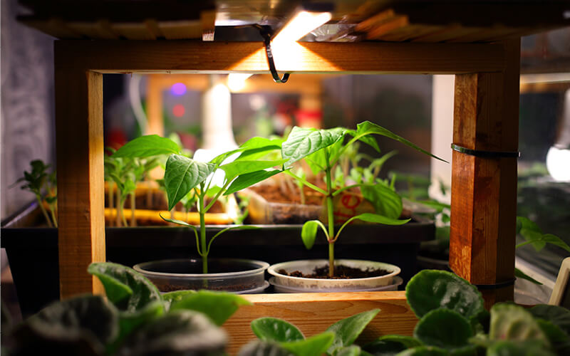 controle invernadero