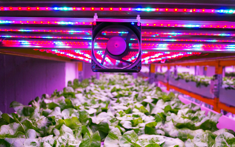 ventilar invernadero