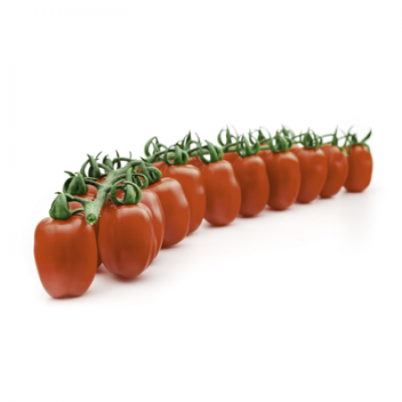 Tomate Cherry LEONCINO Tomates vermelhos frescos em cachos