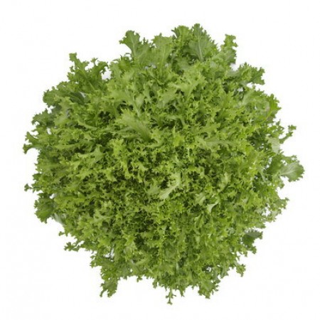 Achicoria Crispy (50 un) Alface frisada verde vista de cima