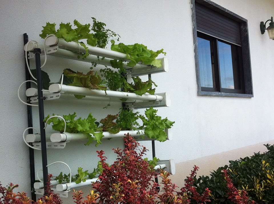 Hydro 70 Vertical Fijo Sistema de cultivo hidropónico vertical com alfaces verdes e plantas vermelhas.