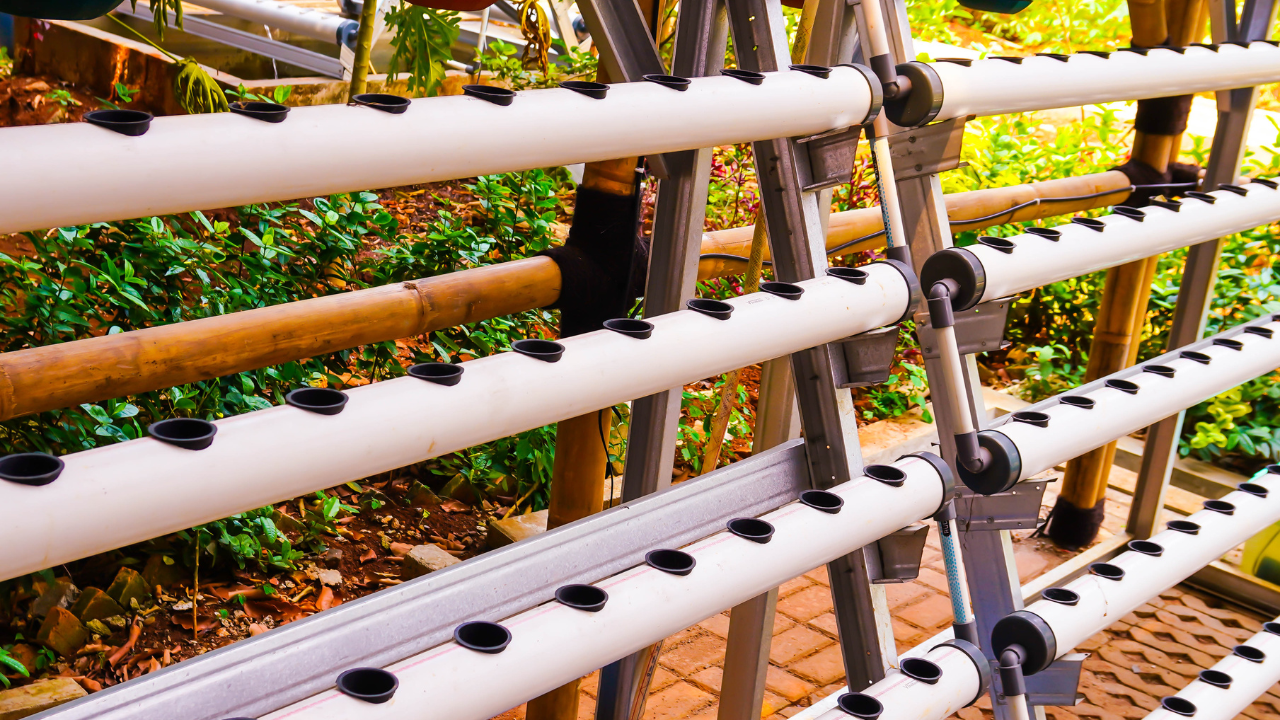 Sistema hidropónico com tubos brancos perfurados para cultivo, suporte metálico cinzento e plantas ao fundo.