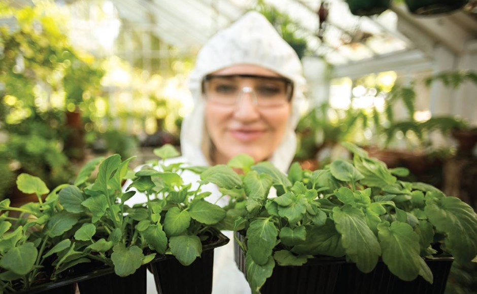 5 resoluciones de año nuevo Pessoa com roupa protetora atrás de vasos com plantas verdes na estufa