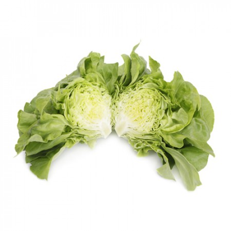 Lechuga Verde Lisa BASILIO Alface cortada ao meio com folhas verdes frescas