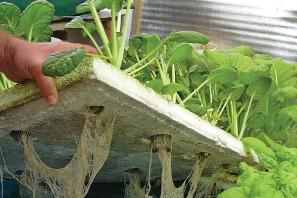 Sistemas hidrop&oacute;nicos