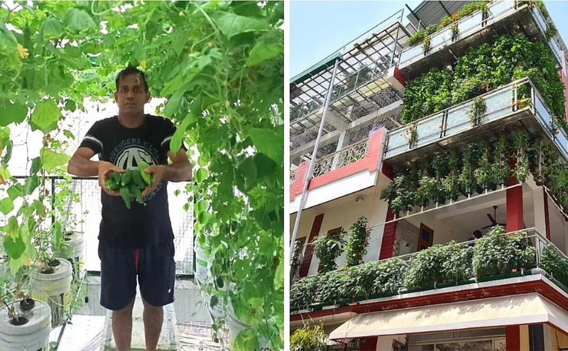 hidropon&iacute;a Espa&ntilde;a