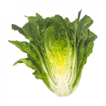 Lechuga Romana MAXIMUS Alface romana cortada ao meio com folhas verdes