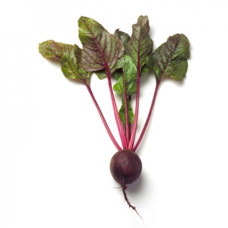 Remolacha LIBERO Beterraba com caule vermelho e folhas verdes e avermelhadas