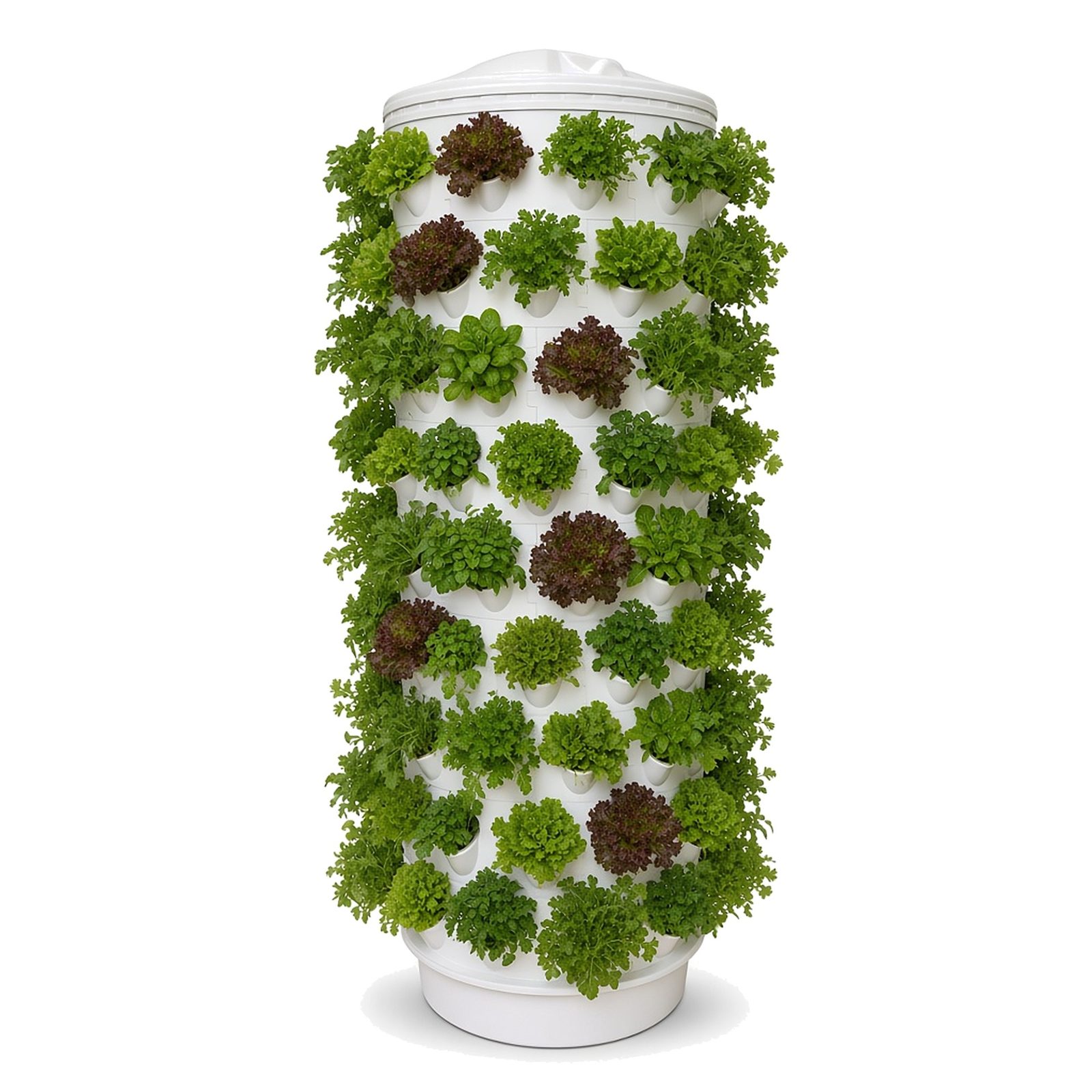 Torre Hidroponía Vertical - 120 plantas Torre de cultivo vertical branca com plantas verdes e roxas em vários níveis