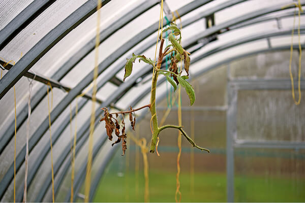 limpieza y desinfecci&oacute;n 