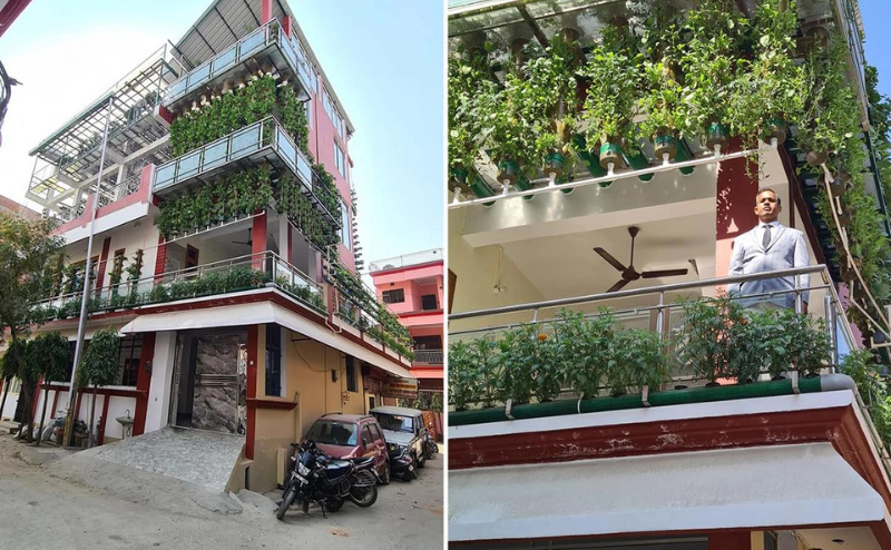 Edifício residencial com varandas e plantas verdes, veículos estacionados e uma pessoa na varanda