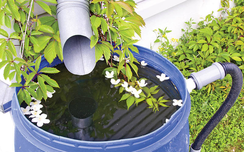 Sistema de barril de lluvia