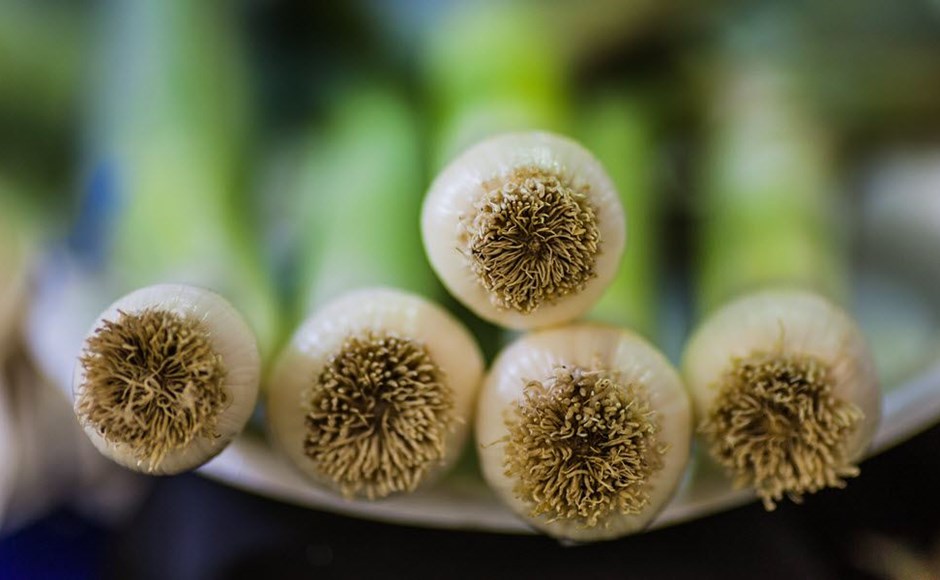 Cultivar Ajo-Poro en Hidroponia Talos de alho-poró cortados em close-up com fundo verde desfocado