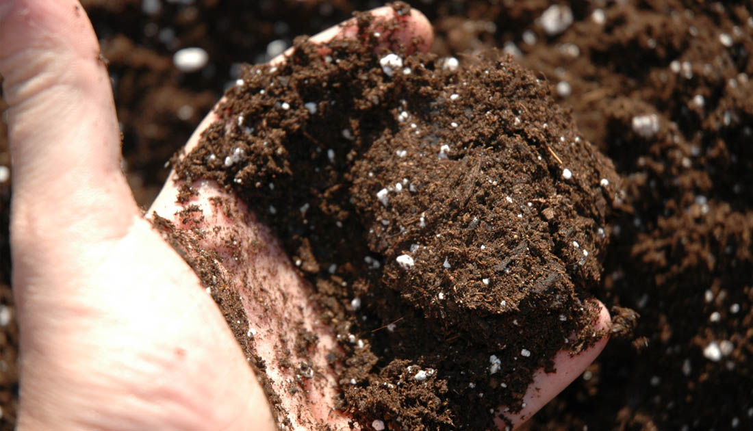 Mão com terra escura e partículas brancas