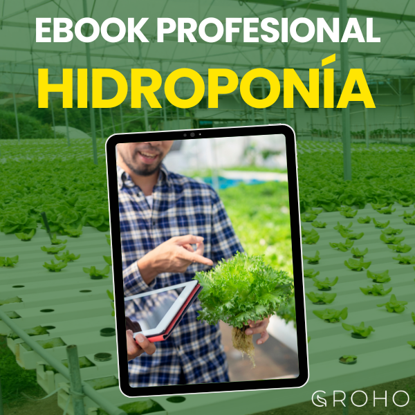 Ebook Hidroponía para Profesionales Ebook profissional de hidroponia com imagem de planta e estufa de cultivo