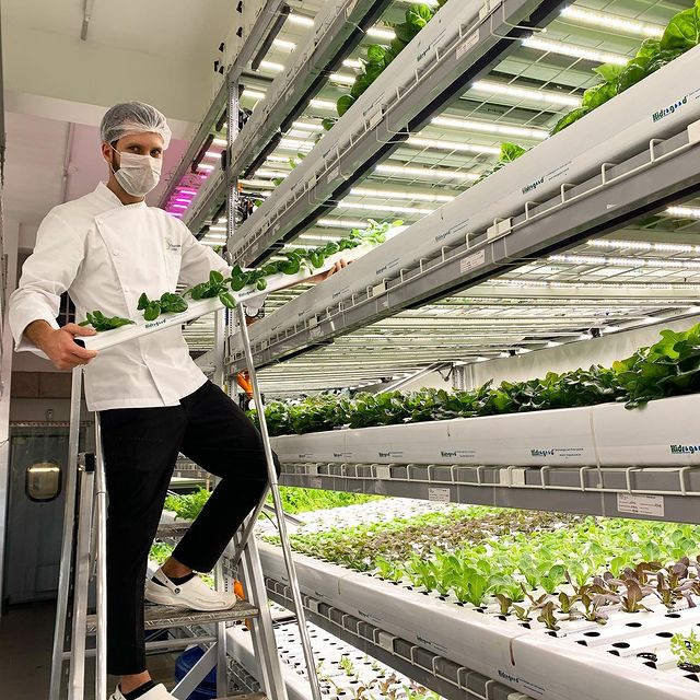 agricultura vertical espa&ntilde;a