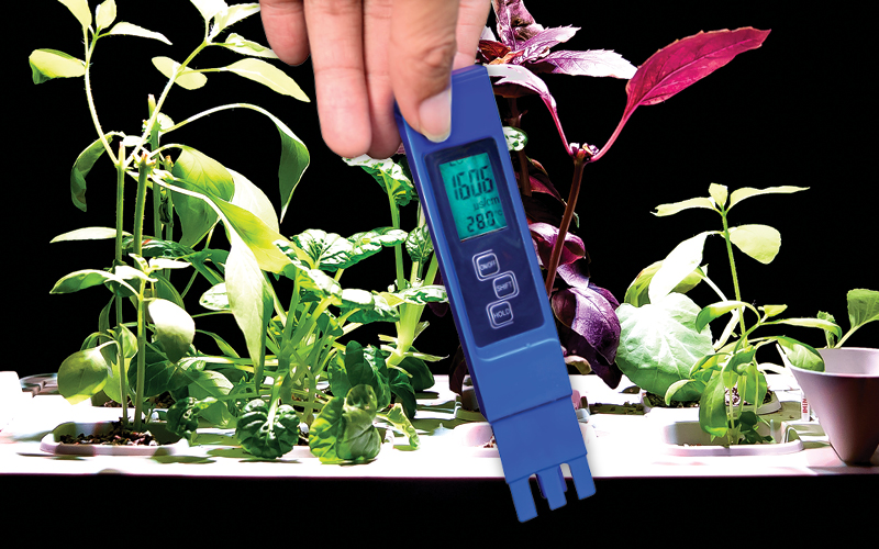 conductividad el&eacute;ctrica