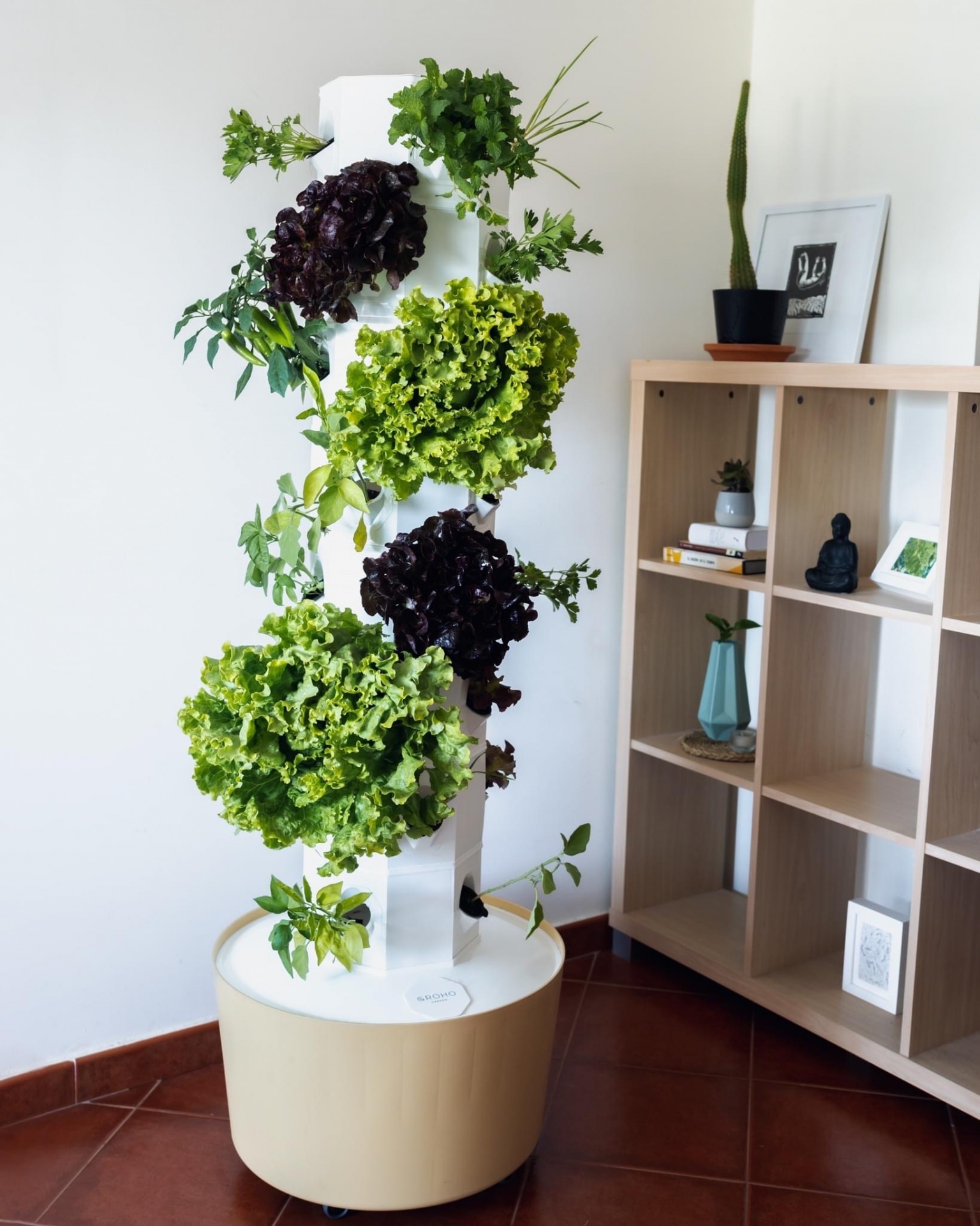 torre aeropon&iacute;a