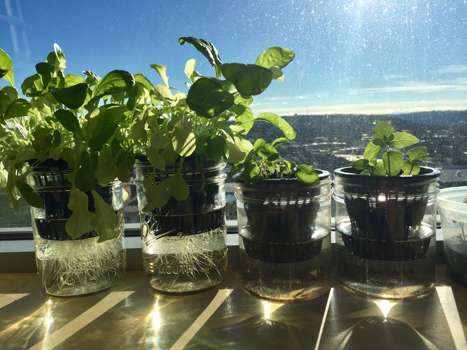 m&eacute;todo Kratky