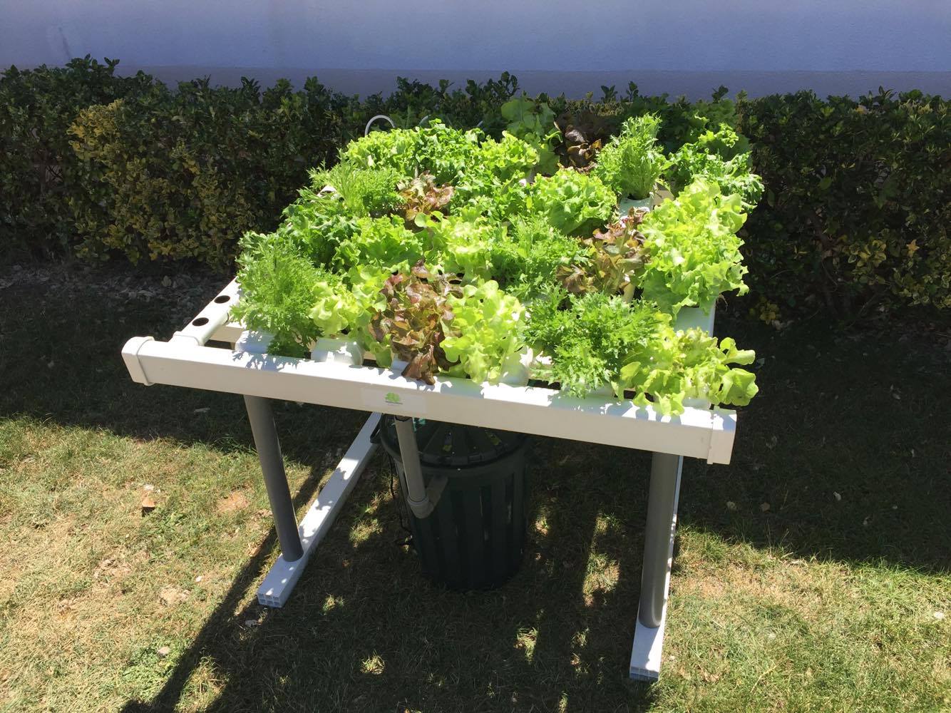 kit hidropon&iacute;a