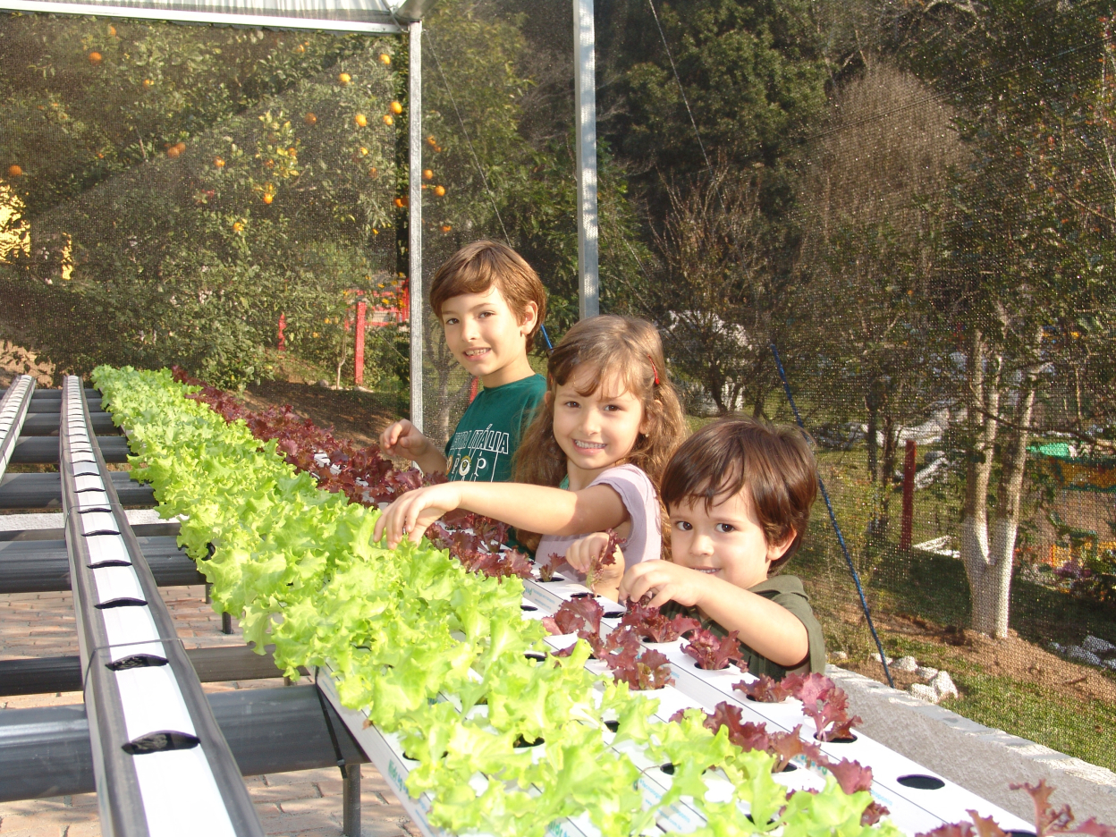 Hidroponía: un juego de niños Crianças com plantas de alface em sistema hidropónico ao ar livre