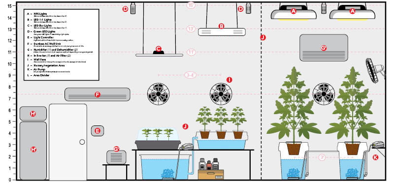 invernadero de cannabis