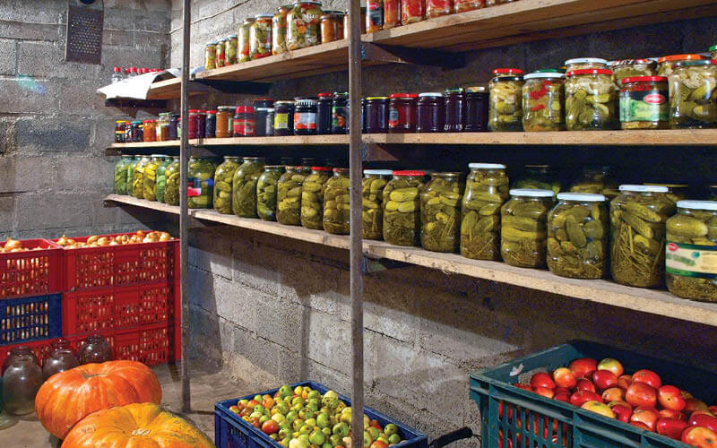 almacenamiento alimentos