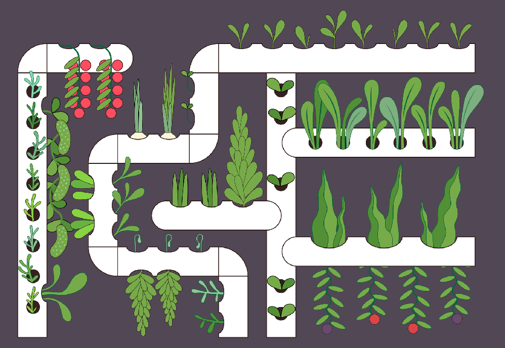 kit hidropon&iacute;a