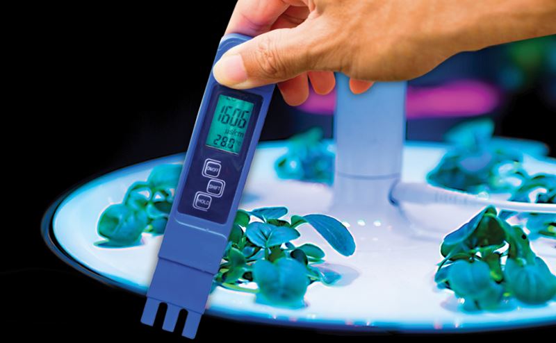 Medidor digital azul a testar água em cultivo hidropónico com plantas verdes